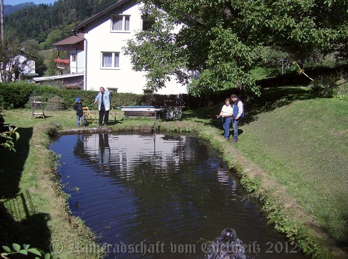 HPIM6806.jpg - ein schoener Tag am Teich