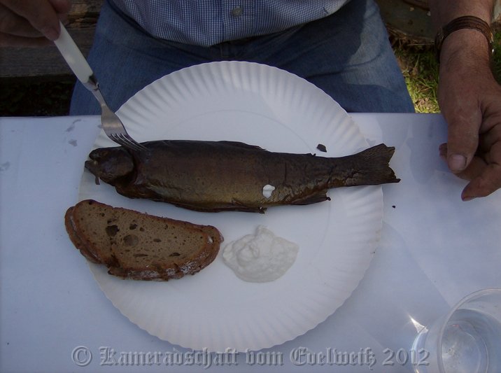 HPIM6814.jpg - frisch gefangen - Mahlzeit